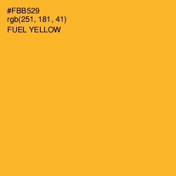 #FBB529 - Fuel Yellow Color Image